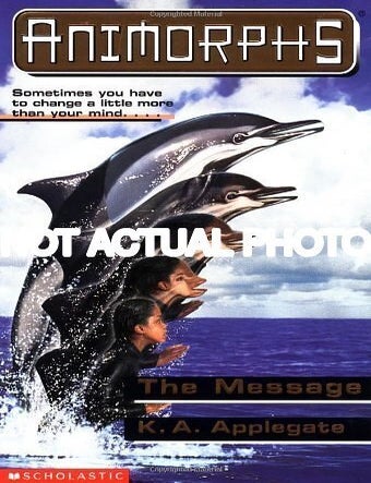 Item #FB390_JQ1 The Message by Katherine Applegate. Katherine Applegate.